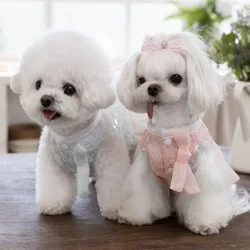Vestido de primavera con encaje para perros pequeños – falda plisada