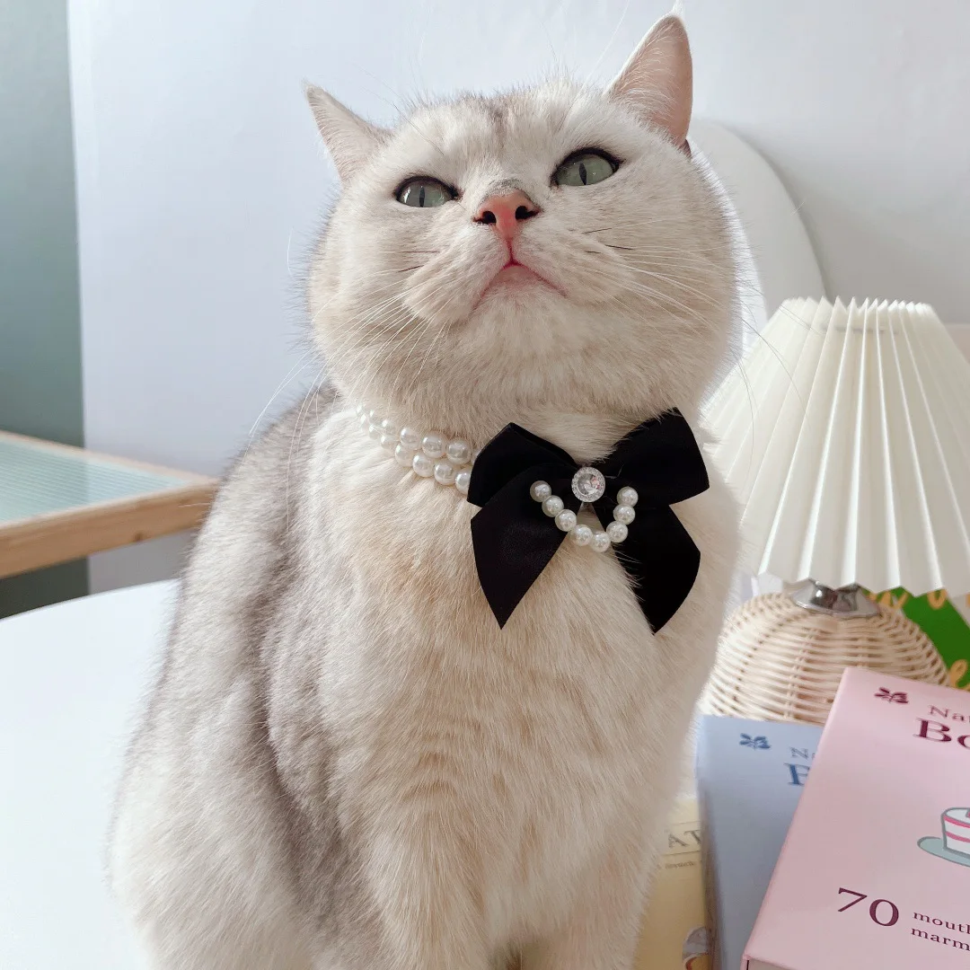 Collar de perlas de doble capa con lazo para mascotas, Collar de cuentas para perros y gatos, Collar de cadena para el cuello, accesorios para perros pequeños, accesorios para cachorros - imagen 3