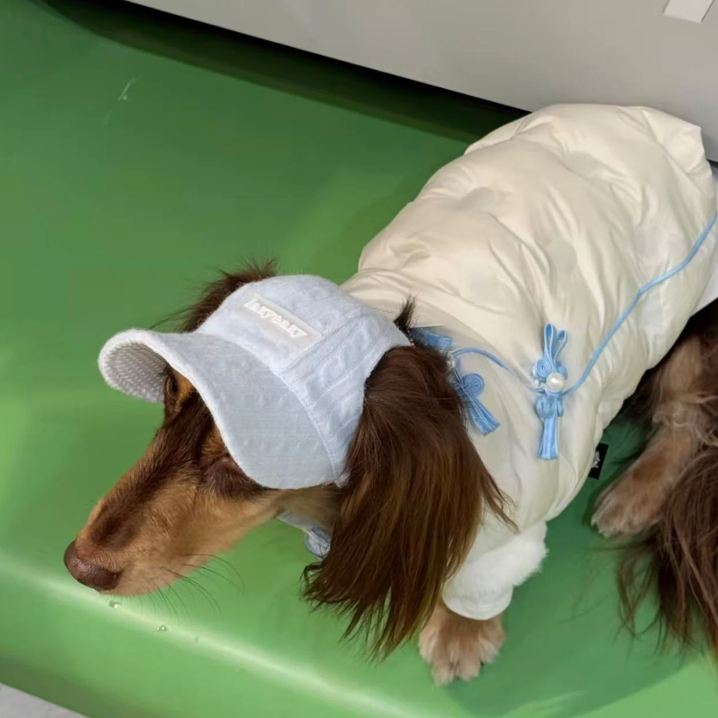 Chaqueta cortavientos para perros Dachshund - abrigo de plumón blanco - imagen 5