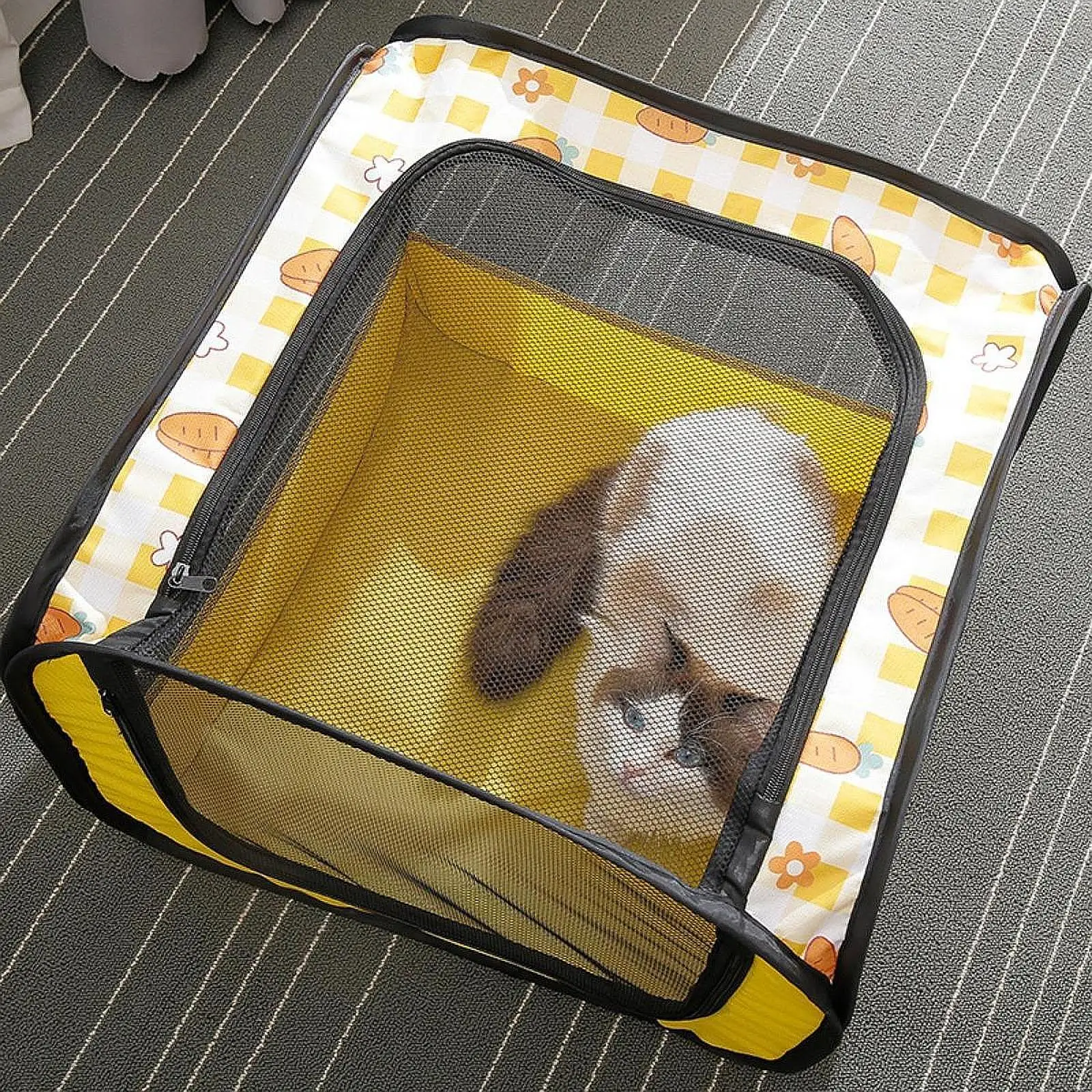 Dog Cat Playpen Breathable Collapsible Lightweight Pet Supplies Pet Tent Portable Dog Crate for Outdoor Indoor Travel Home Cat
