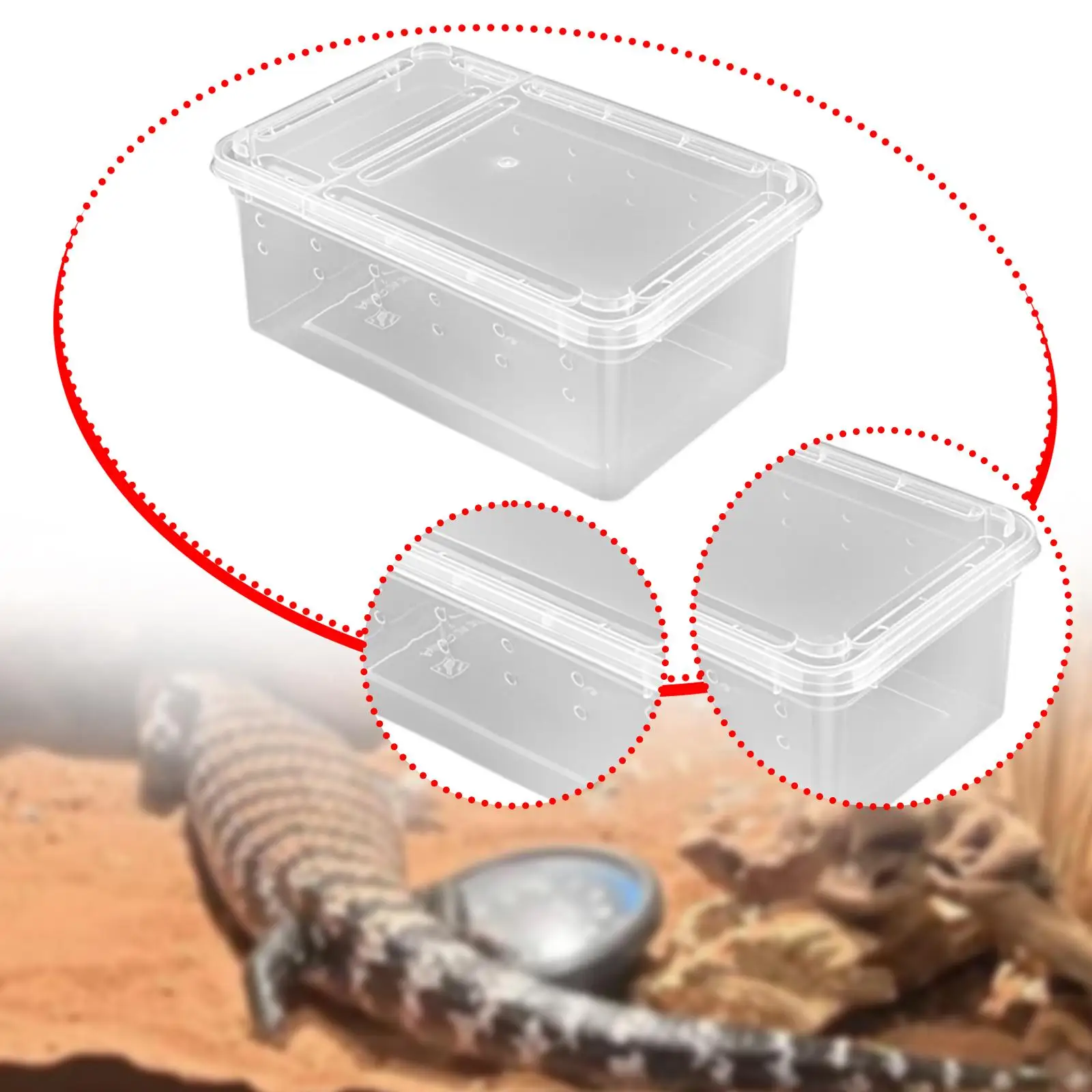 Reptile Feeding Box with Cover Case Breeding Box for Gecko Centipedes Snails
