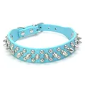 Collar Light Blue