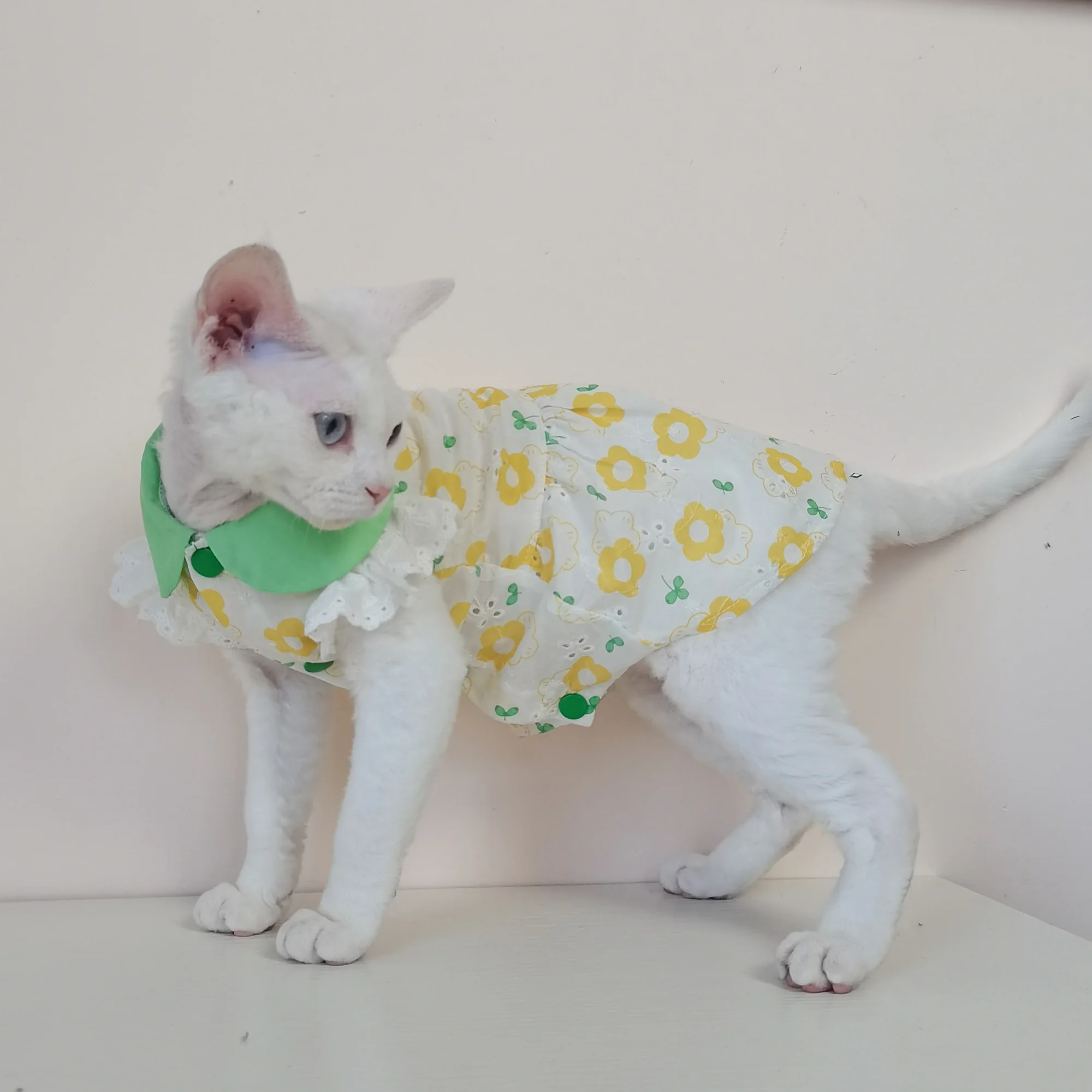 Sphynx-ropa para gatos, vestido de algodón Floral amarillo, falda con cuello verde dulce de verano para mujer, camisola de primavera para gatos, camisa para gatitos - imagen 3