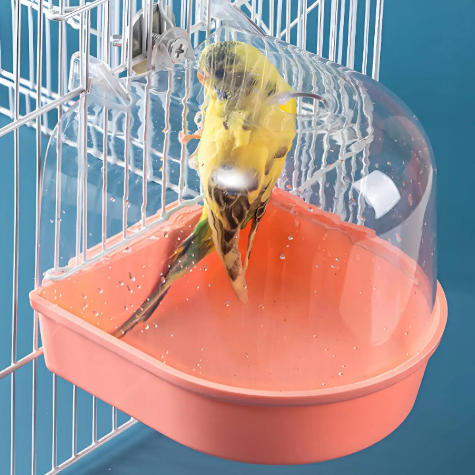 Bañera transparente para aves - baño seguro de periquitos en interior - imagen 2