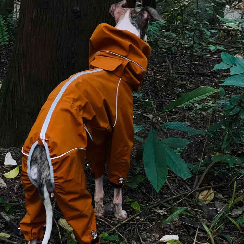 Chaqueta impermeable para perros naranja: Whippet y galgo italiano - imagen 3