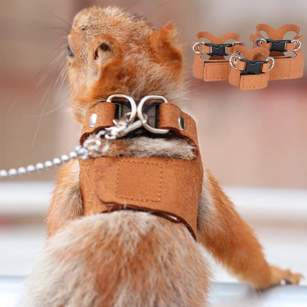1 Juego de arnés de ardilla para mascotas con correa, arnés ajustable y transpirable, juego de correa para animales pequeños, adiestramiento al aire libre y caminar - imagen 4