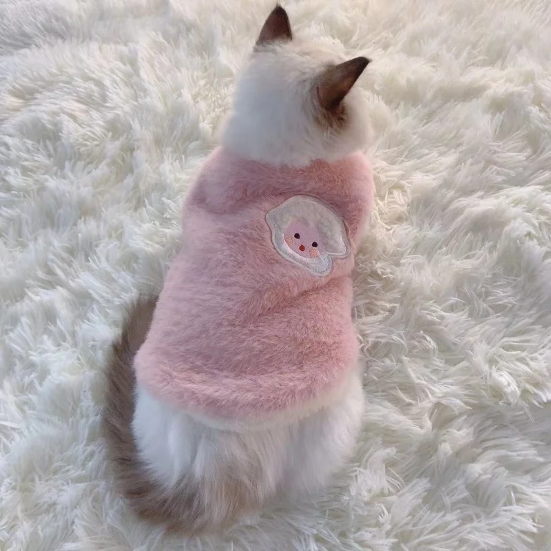 Gato en exterior con prenda