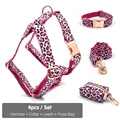 Harness Collar Set