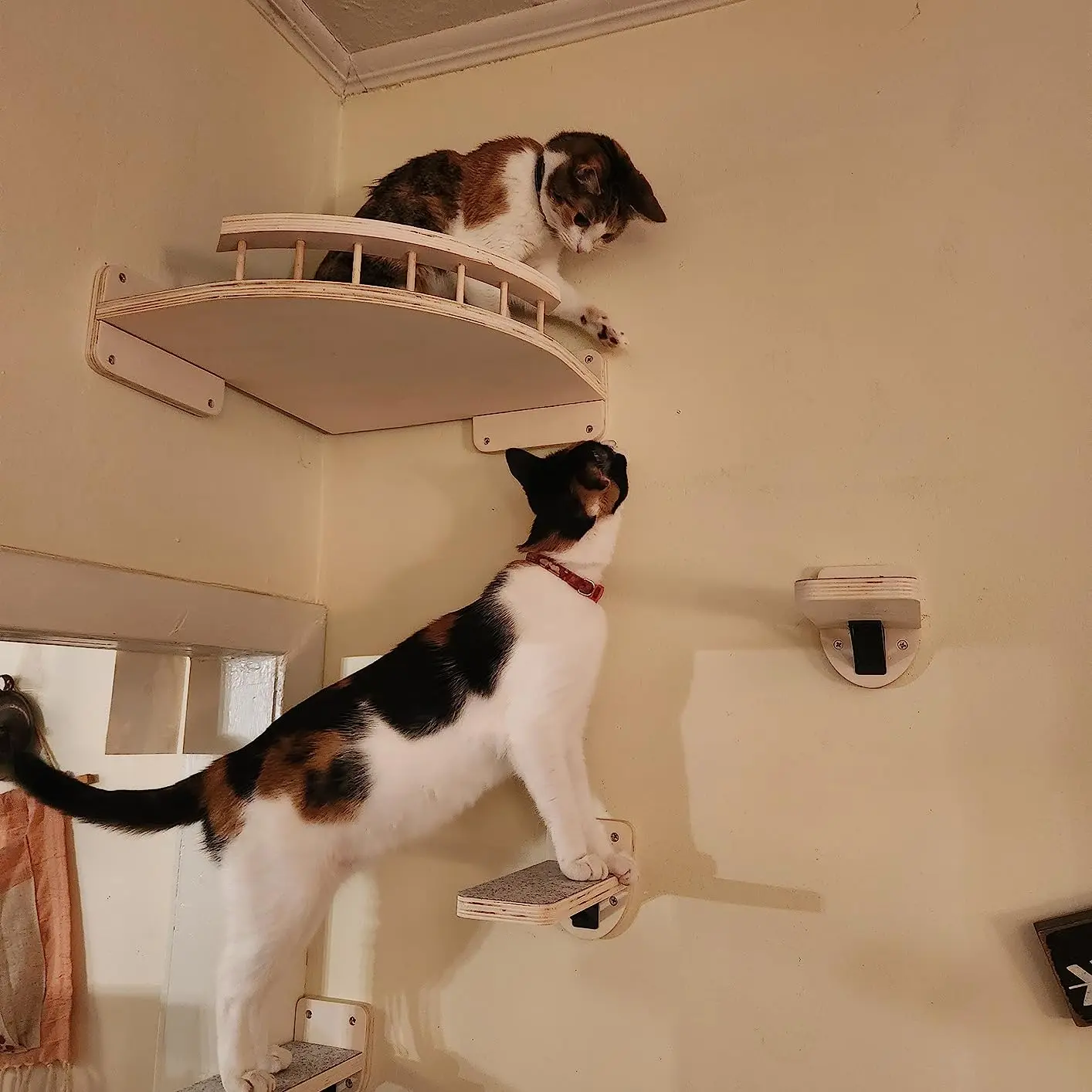 Estantes de escalada para gatos, hamaca montada en la pared con escalera y poste para rascar, plataforma de madera, muebles para mascotas, juguetes para gatitos - imagen 3