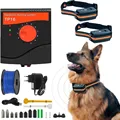 Complete Kit 2 Dogs