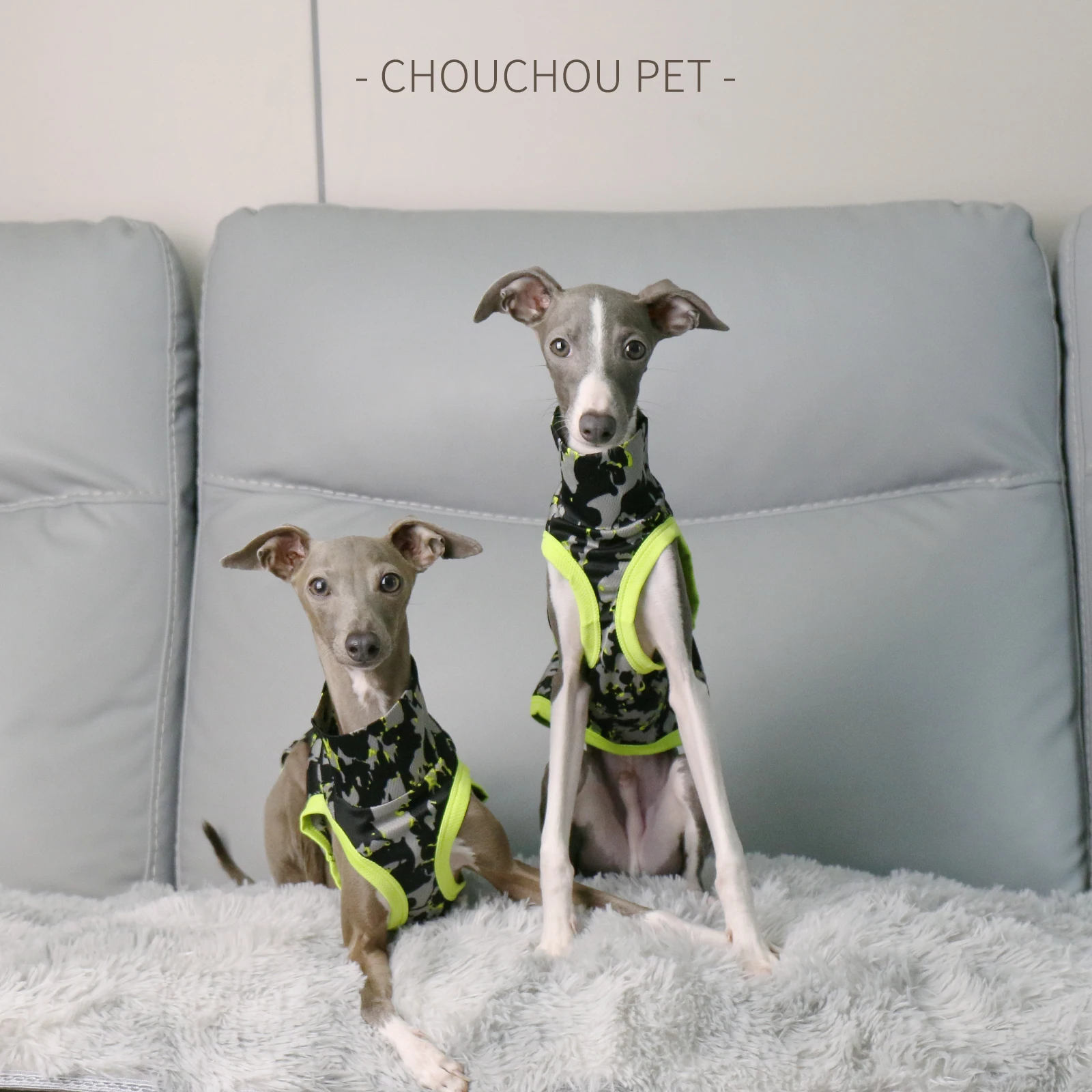 Chaleco italiano Greyhound Whippet de verano con bloques de colores, protector solar transpirable, ropa ligera para mascotas