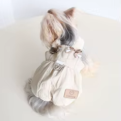 Conjunto otoño para perros y gatos – Diseño conejo con calabaza