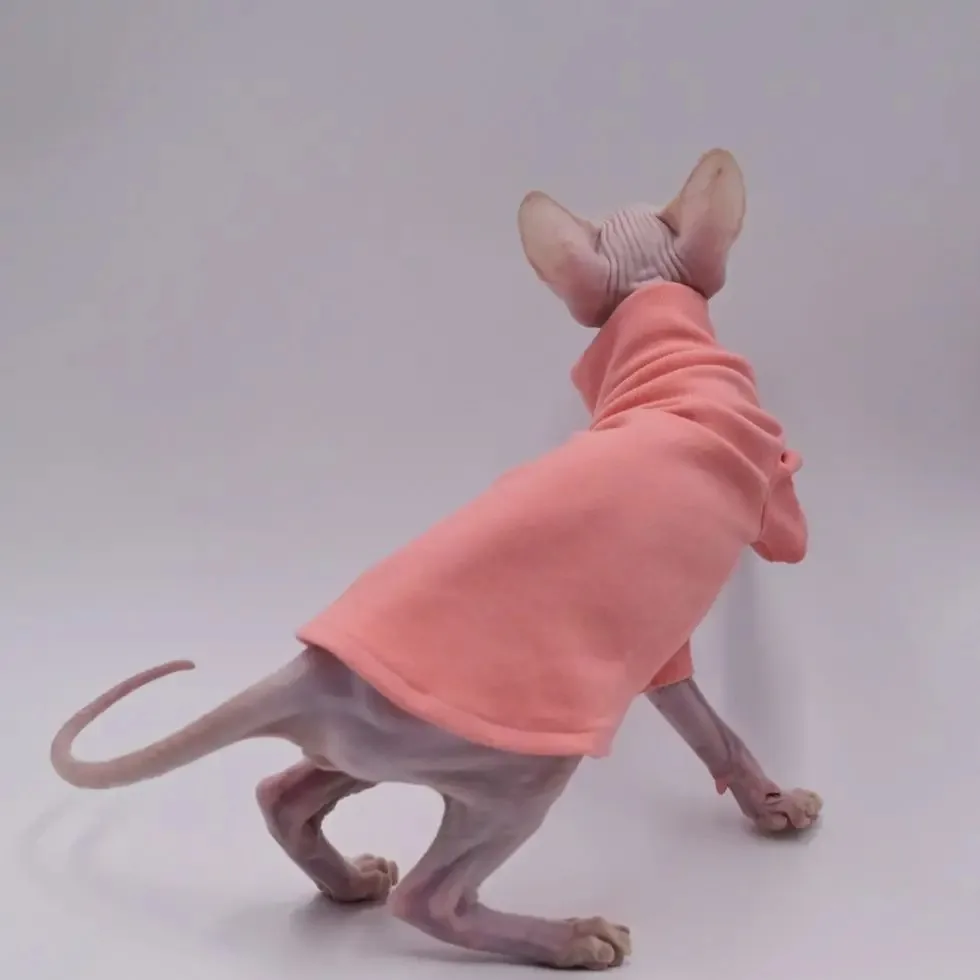Sphynx-ropa para gato, chaleco Rosa puro sin pelo para gato, Camisa cómoda de algodón con cuello alto, abrigo para gato, ropa de calle para gatito - imagen 4