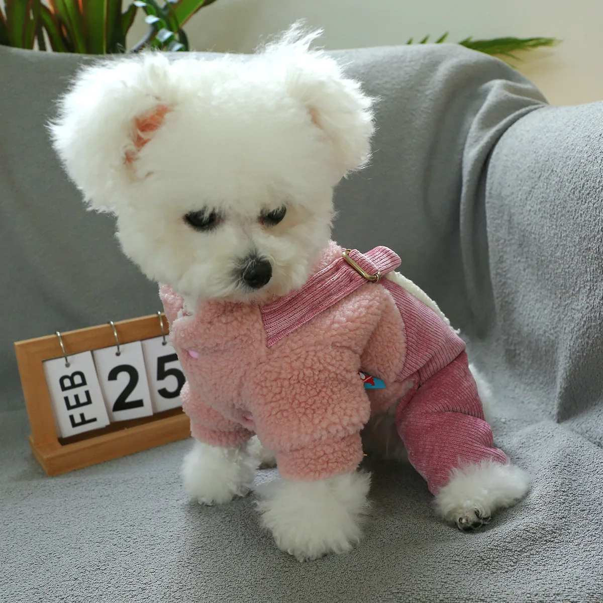 Salón rosa en forma de corazón para mascotas, ropa para gatos, mono en forma de corazón, chaqueta de cuatro patas, ropa para cachorros, otoño e invierno - imagen 4