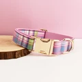 Dog collar 14