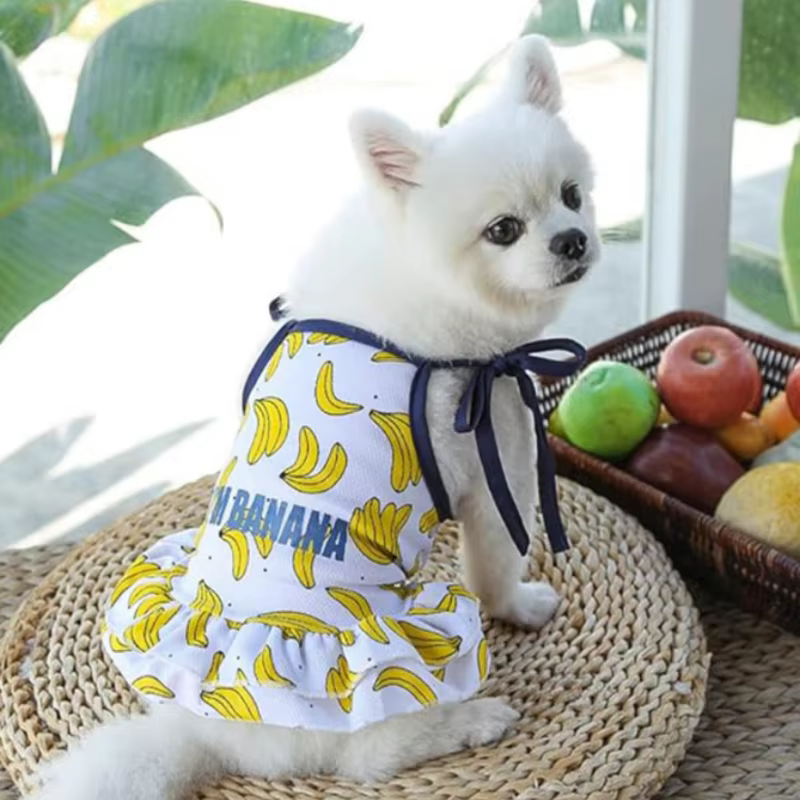Vestido de verano para gato Sphynx – Falda princesa de plátano y fresa - imagen 4