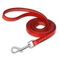 Red Leash