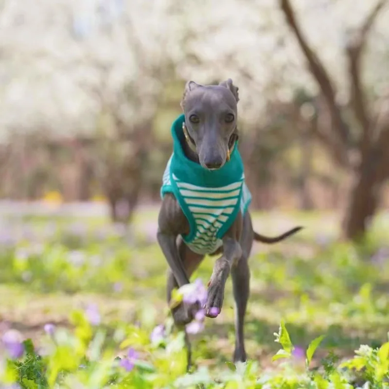 Ropa de algodón para perros, ropa bonita para perros, cachorros, gatos, ropa para perros pequeños y grandes, chaleco, accesorios para mascotas, suministros de productos de ropa - imagen 3