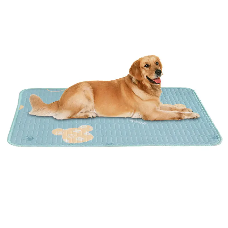 QiuQiu-cojín de seda de hielo para mascotas pequeñas, cama de verano para perros, estera para dormir de látex, almohadilla para el suelo, cama para gatos, estera refrescante, cojín nido resistente a los arañazos - imagen 4