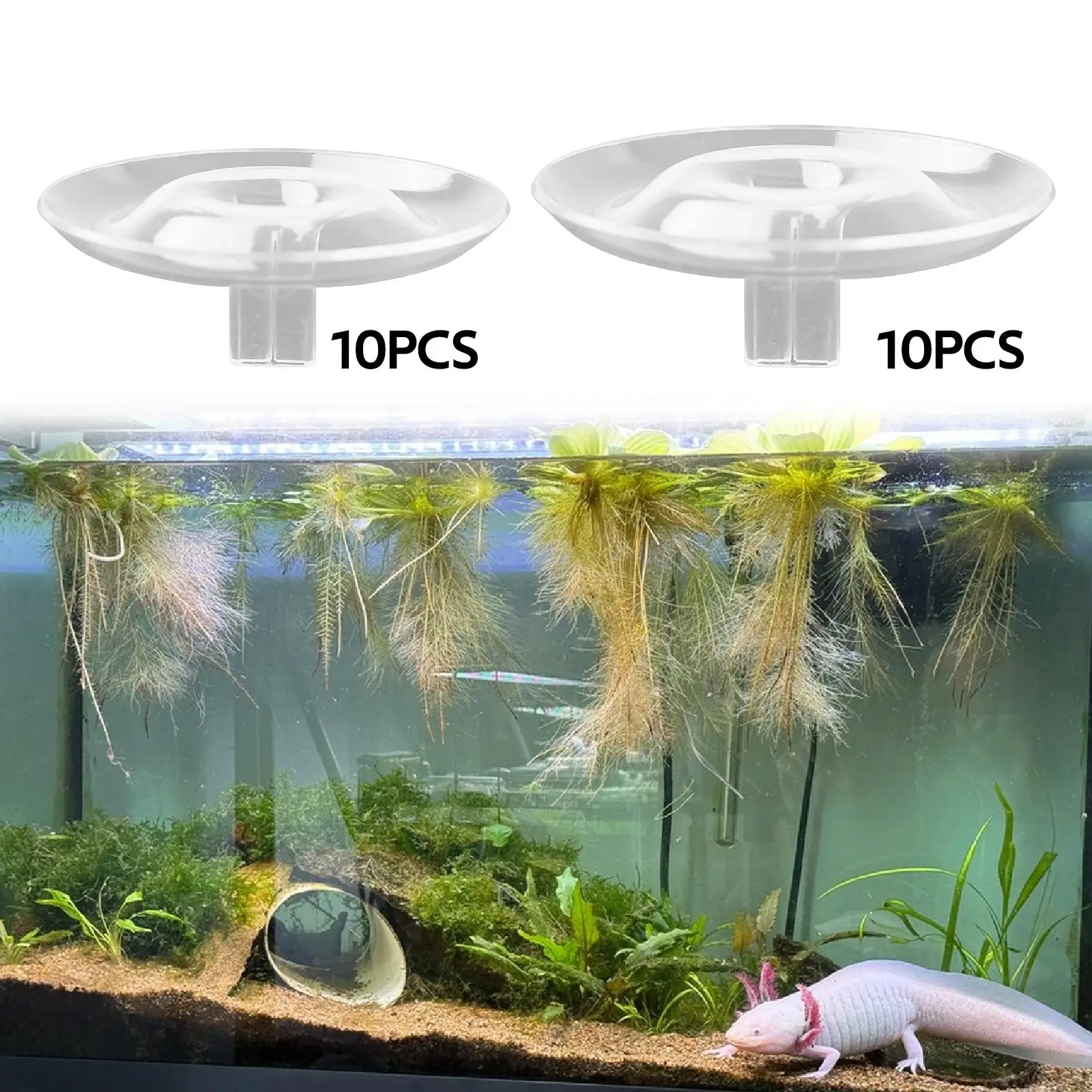 10x soporte flotante para flores soporte de exhibición versátil ligero Floral - imagen 2