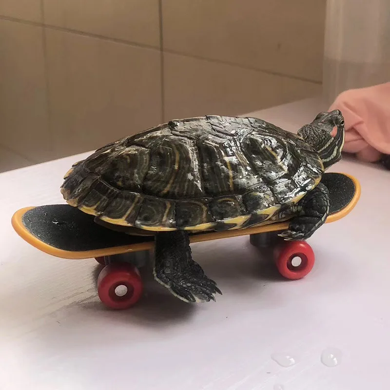 Patineta rodante con ruedas antideslizantes para tortugas, aves y loro - imagen 5