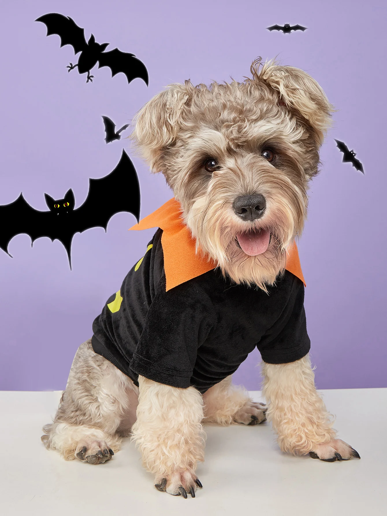 Disfraz de perro de calabaza de Halloween, camisa naranja para mascotas con cuello verde, traje festivo para perros pequeños/medianos, perfecto para Halloween - imagen 4