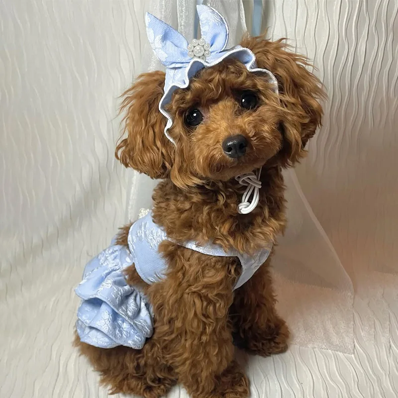 Ropa de primavera para mascotas, mono, vestido bordado de princesa para gatos, sombrero, cumpleaños, perro pequeño, oso de peluche, ropa para mascotas - imagen 4