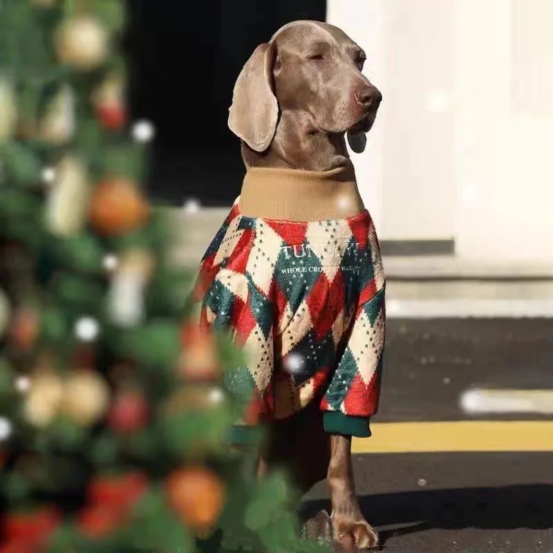 Suéter para perro puesto en mascota