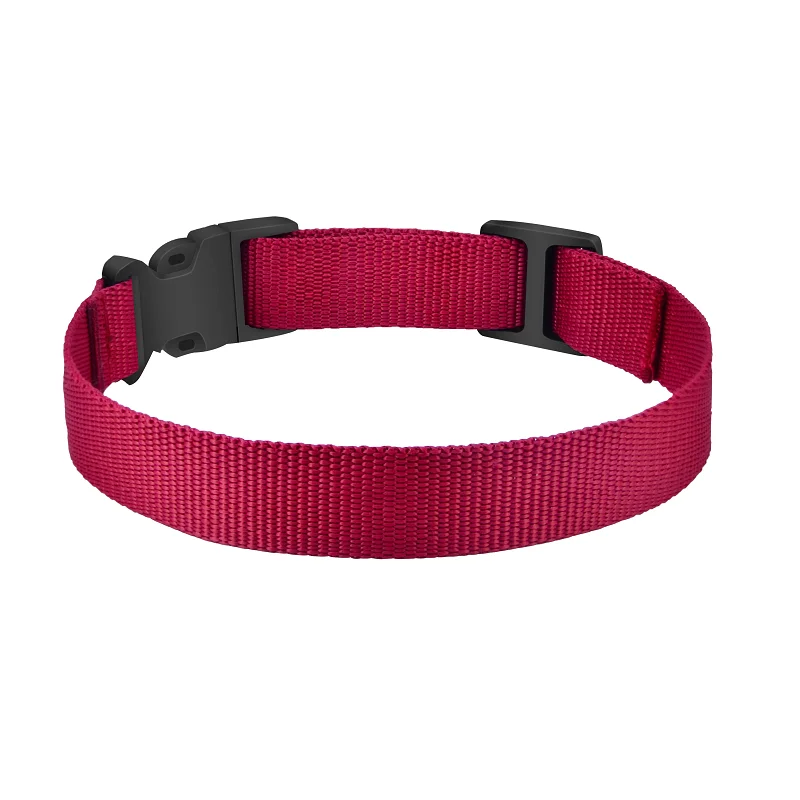 Red Nylon collar