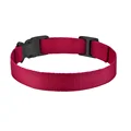 Red Nylon collar