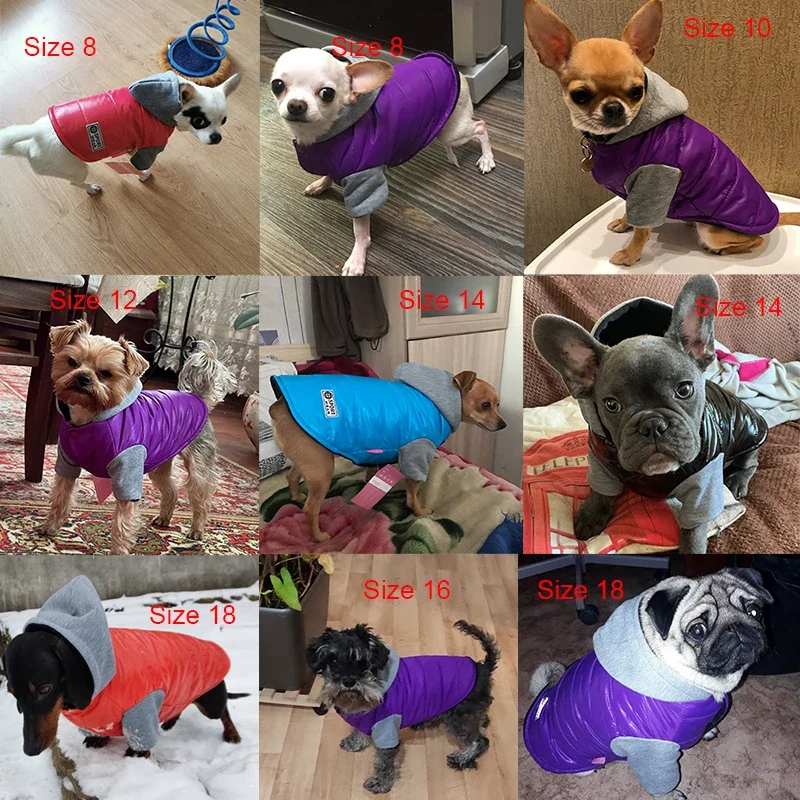 Sudaderas con capucha de lana para perros pequeños y medianos, chaqueta suave y cálida de invierno para perros, Chihuahua, Chihuahua, Pug, Bulldog, ropa, abrigo para gatos, trajes para mascotas - imagen 3