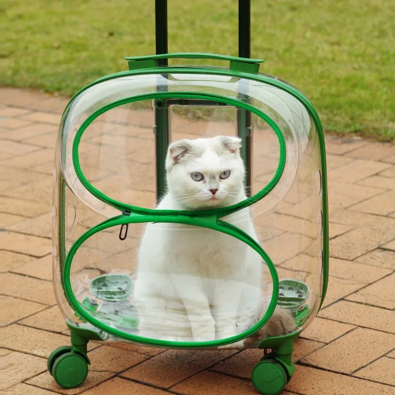 Cubierta de carrito para mascotas de gran capacidad, bolsa de viaje portátil verde transparente, productos para mascotas, transportadores para gatos lavables y ligeros para exteriores - imagen 5
