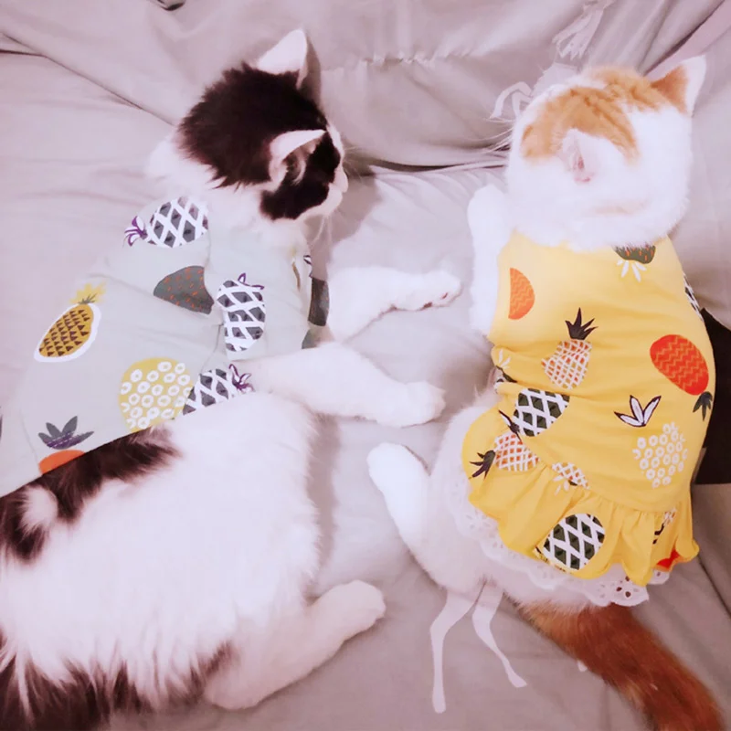 Dulce estampado Sphynx gato chaleco camiseta verano algodón ropa para mascotas para gatos Gotas mascotas ropa Katten Kedi disfraz vetement chat - imagen 4