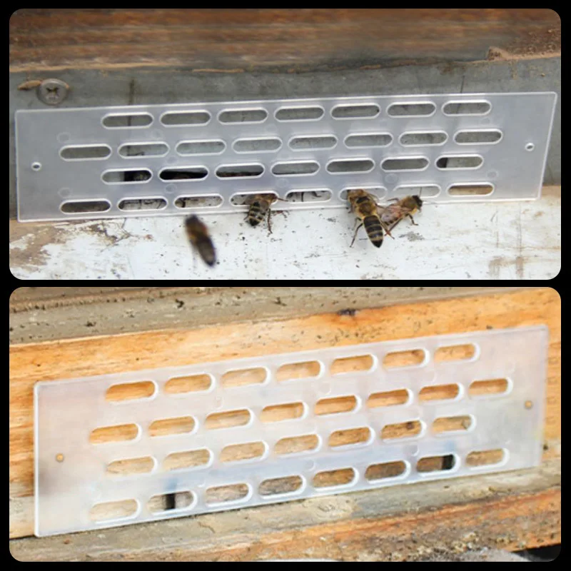 Apicultor Anti Escape Run Fly Away Bees Queen plástico espaciador Ward colmena bloqueador barrera hoja nido puerta suministros 20/40 Uds