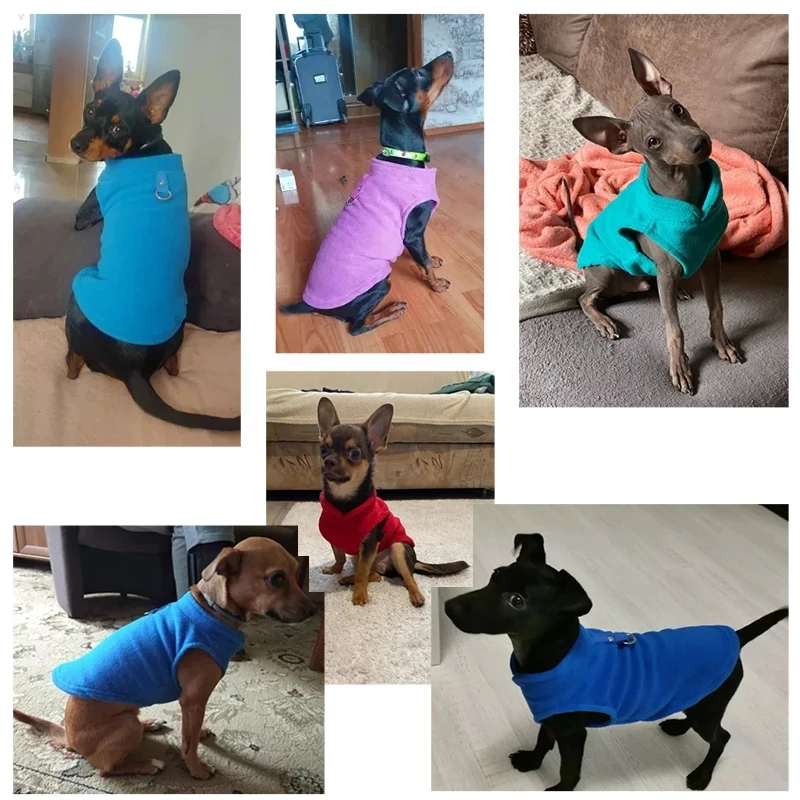 Chaleco cálido de invierno para Bulldog Francés, ropa para cachorros y gatos, disfraces de Pug, chaqueta para perros pequeños, ropa de lana para mascotas Chihuahua - imagen 4