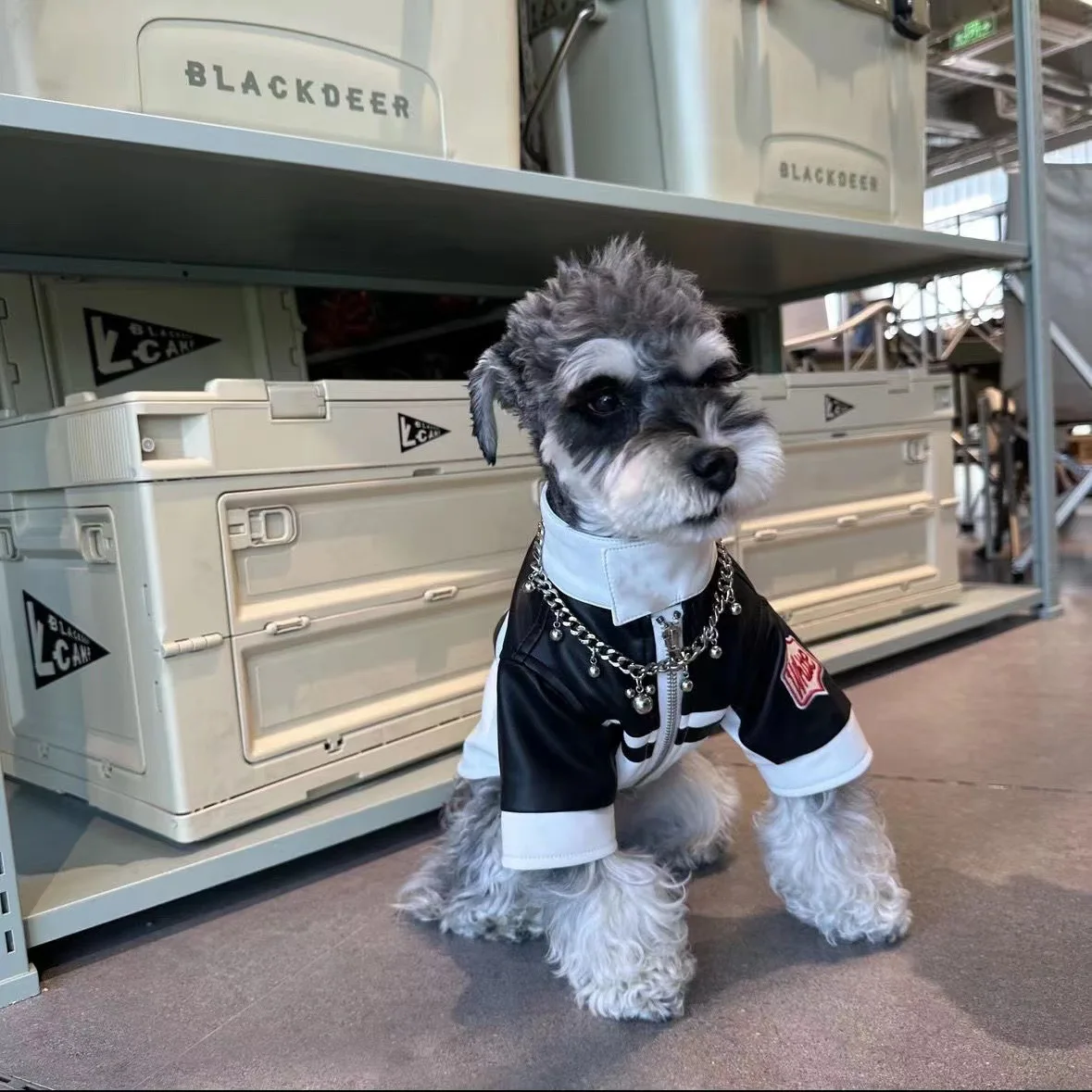 Chaqueta de empalme de motocicleta para perros, ropa a prueba de viento, abrigo cálido para montar al aire libre, accesorios para mascotas, otoño - imagen 5