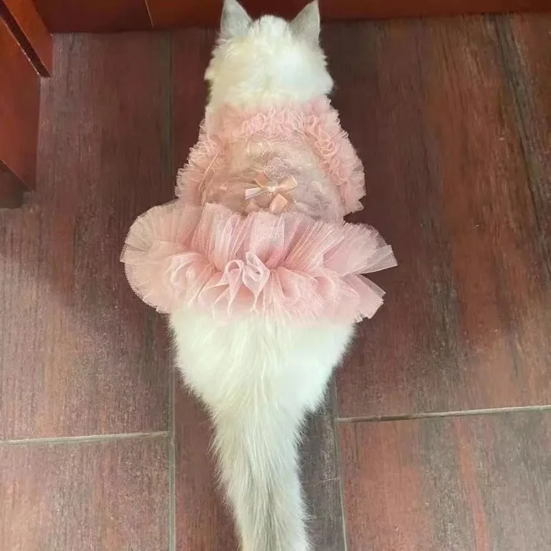 Vestido de princesa para mascotas, ropa fina de encaje con forma de corazón para cachorros, falda de moda para gatos, ropa para gatos, vestido para perros y mascotas, falda con tirantes - imagen 2