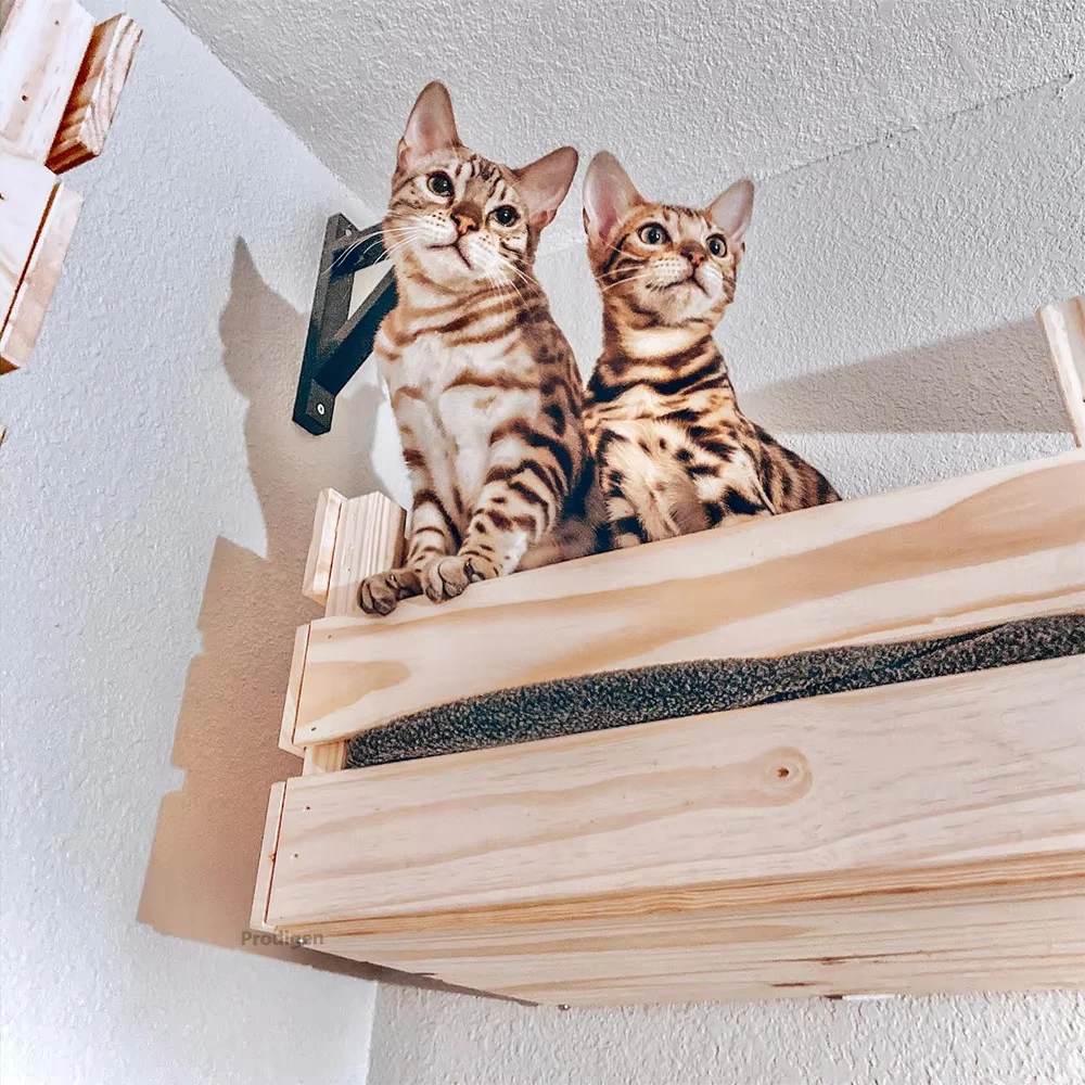 Cesta de madera para gatos montada en la pared, cama de percha para gatos, hamaca para dormir, paso de escalada, muebles de pared modernos, torre de árbol, accesorios para gatos - imagen 4