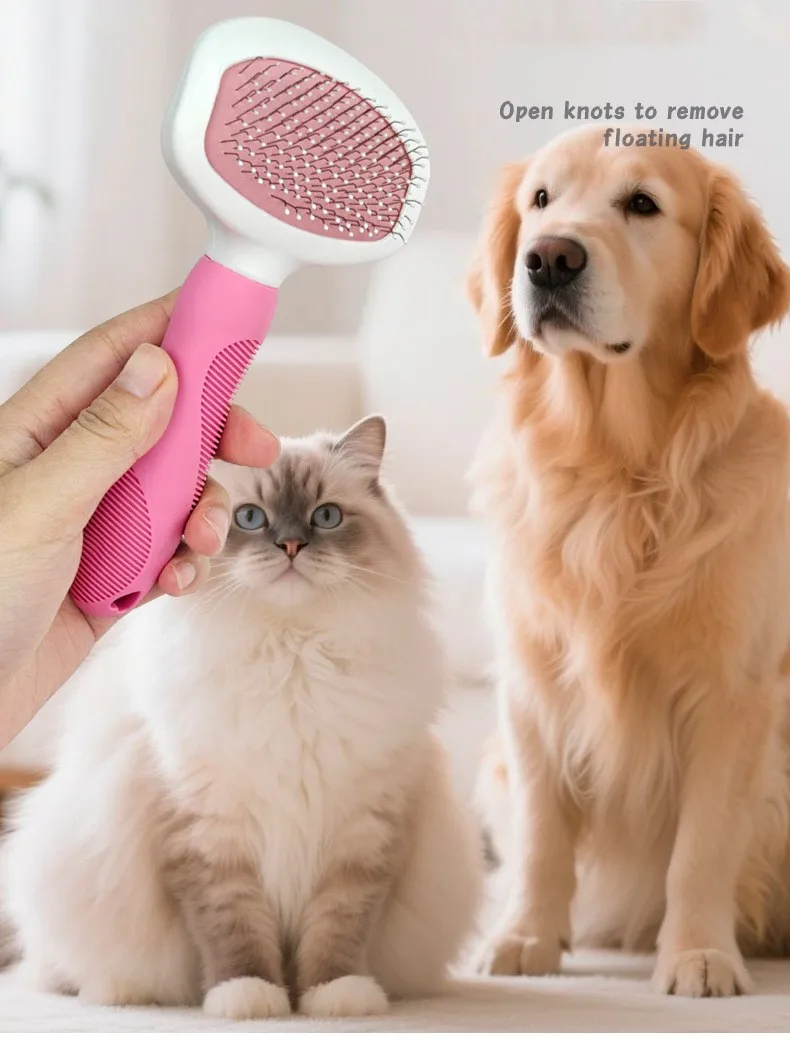 Sesión de grooming familiar