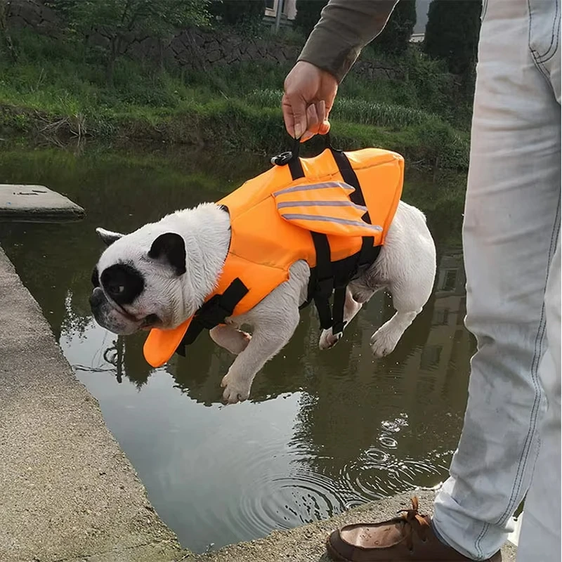 Chaleco salvavidas para perros, traje de baño para perros, traje de baño de Bulldog Francés, chaleco de seguridad para mascotas, ropa de verano para perros pequeños y medianos - imagen 4