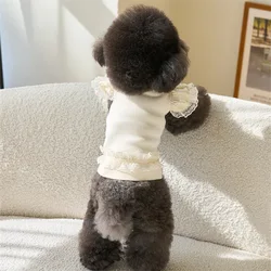 Camiseta de encaje para gatos y perros pequeños – Ropa tierna