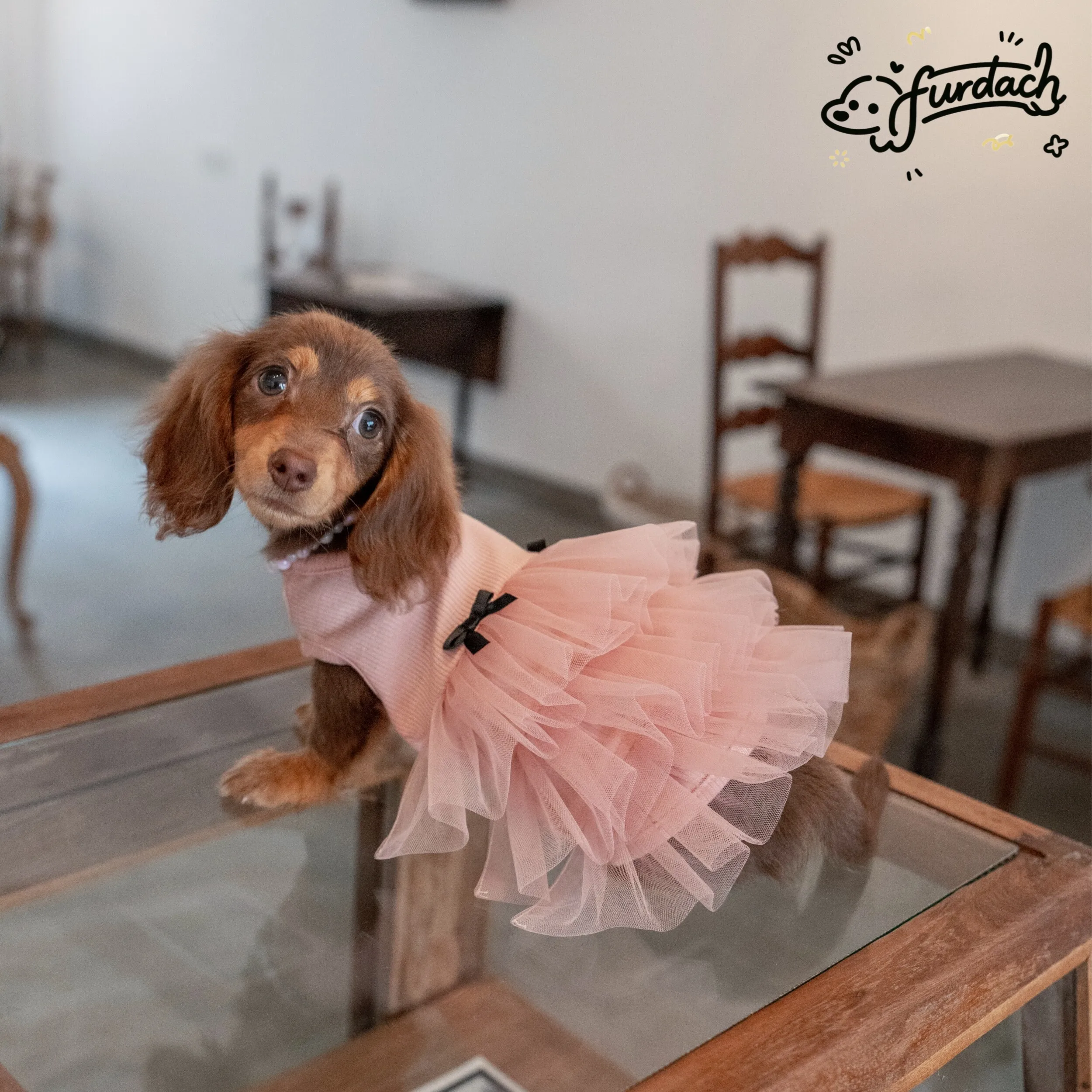 Vestido rosa encaje algodón falda morada para Dachshund primavera - imagen 2