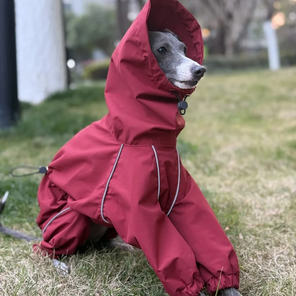 Chaqueta intercambiable Whipbit galgo impermeable roja a la moda impermeable para perros Bedlington de 4 patas a prueba de viento con tira reflectante - imagen 2