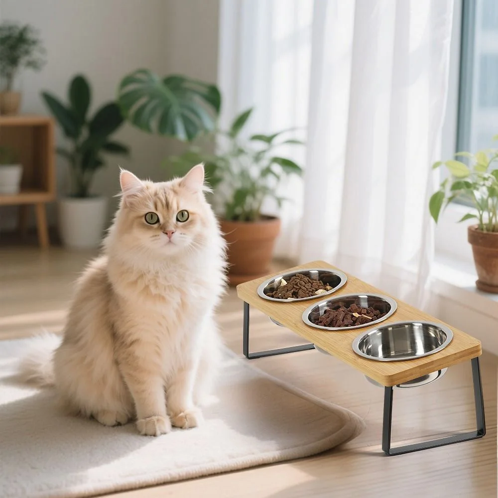 Comedero elevado para mascotas, 3 tazones de acero inoxidable con soporte de madera, cuenco de agua elevado para comida de gato para gatos y perros pequeños, alimentación saludable - imagen 5
