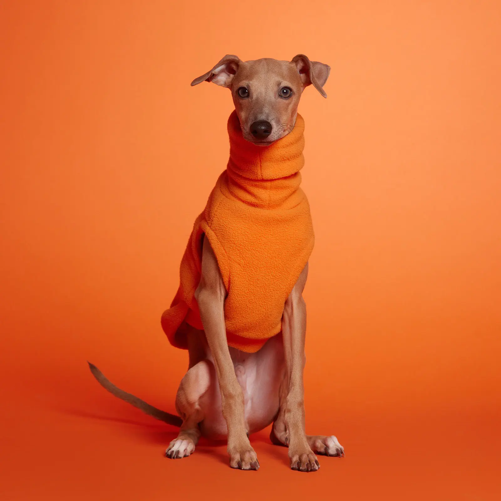 Chaleco cálido de lana Polar de invierno para perros pequeños y medianos, cuello alto, doble capa, Whippet, galgo italiano