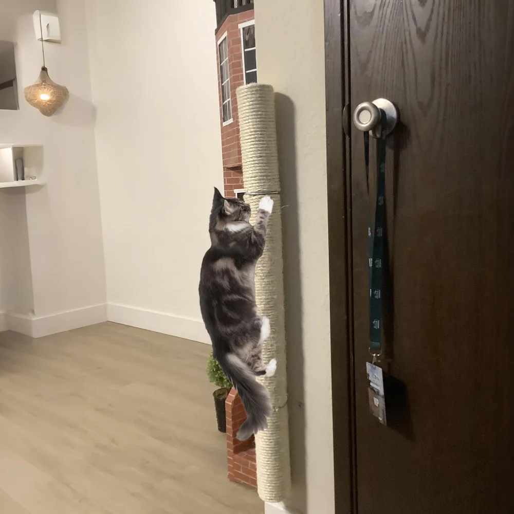 Poste rascador para gatos montado en la pared, cuerda de Sisal Premium, juguete de escalada para gatos, fácil de instalar, Protector de muebles duradero para gatitos de interior