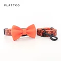 Bow Tie Collar Leash