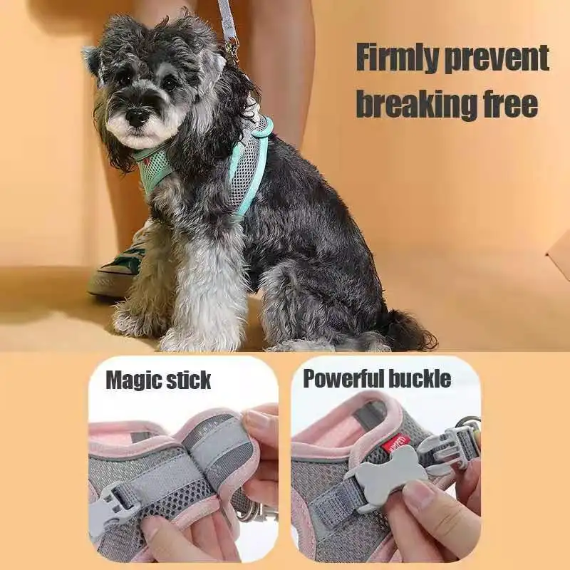 MADDEN-arnés para perros y gatos, conjunto de cuerdas para el pecho, reflectante, transpirable, ajustable, para perros pequeños y medianos, para caminar al aire libre - imagen 4