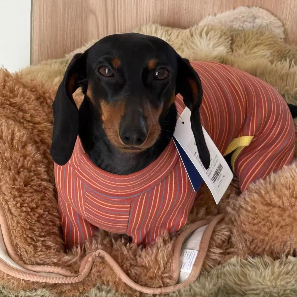 Jersey elástico para Dachshund – Abrigo a rayas rojas para perro salchicha - imagen 2