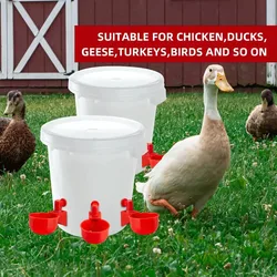Bebedero automático de plástico para aves domésticas – pollos y patos